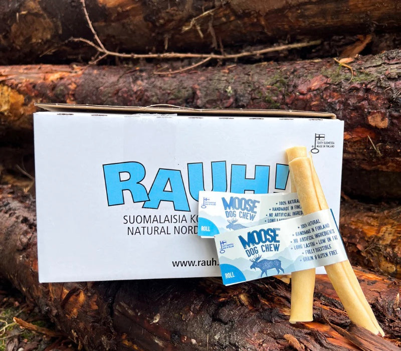 RAUH Moose Dog Chew (Small)