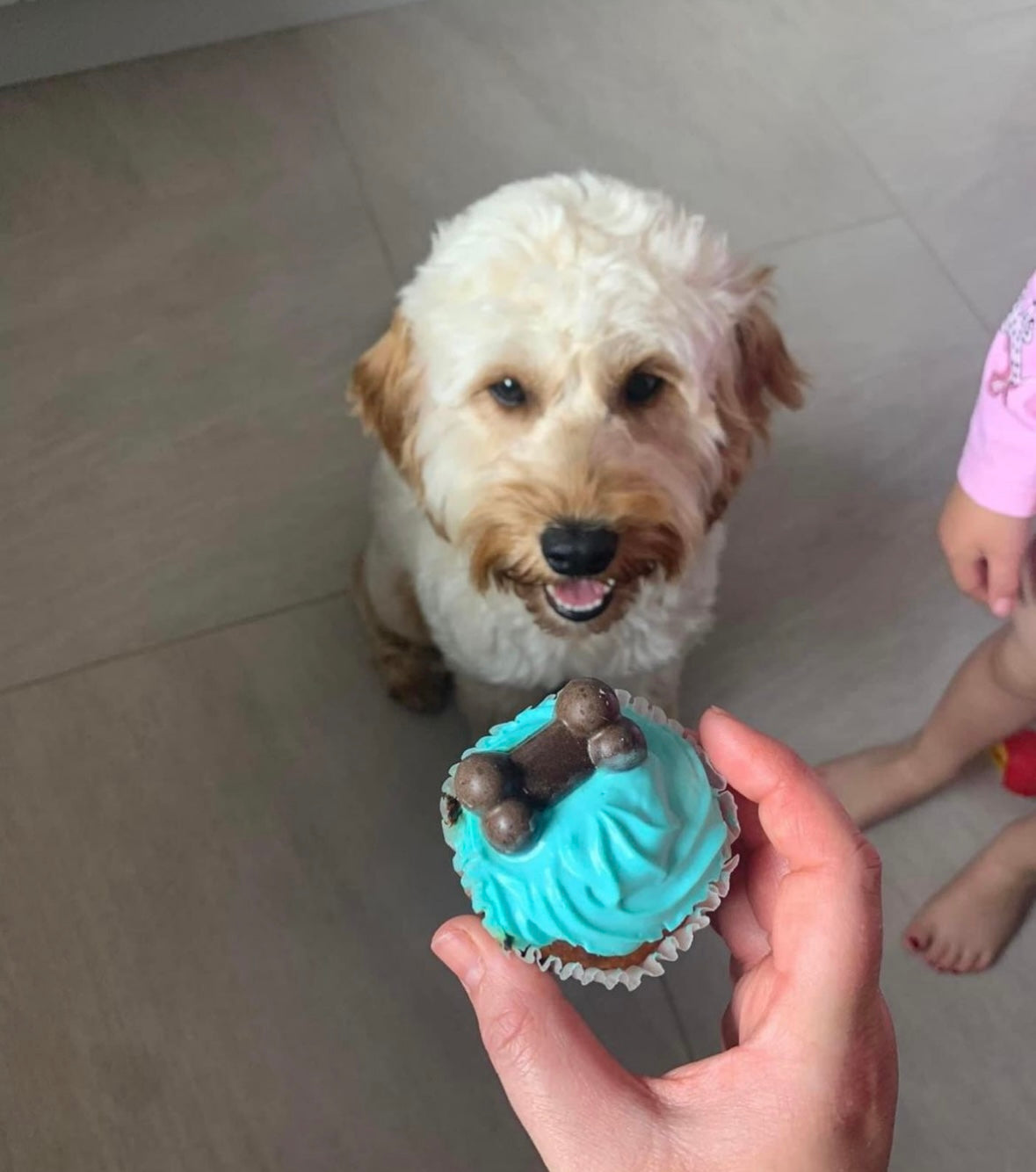 Pupcake