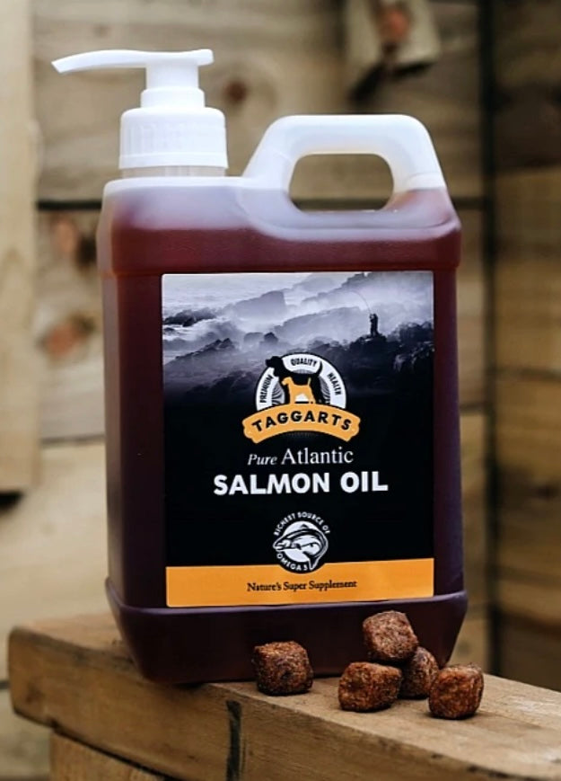 Salmon oil